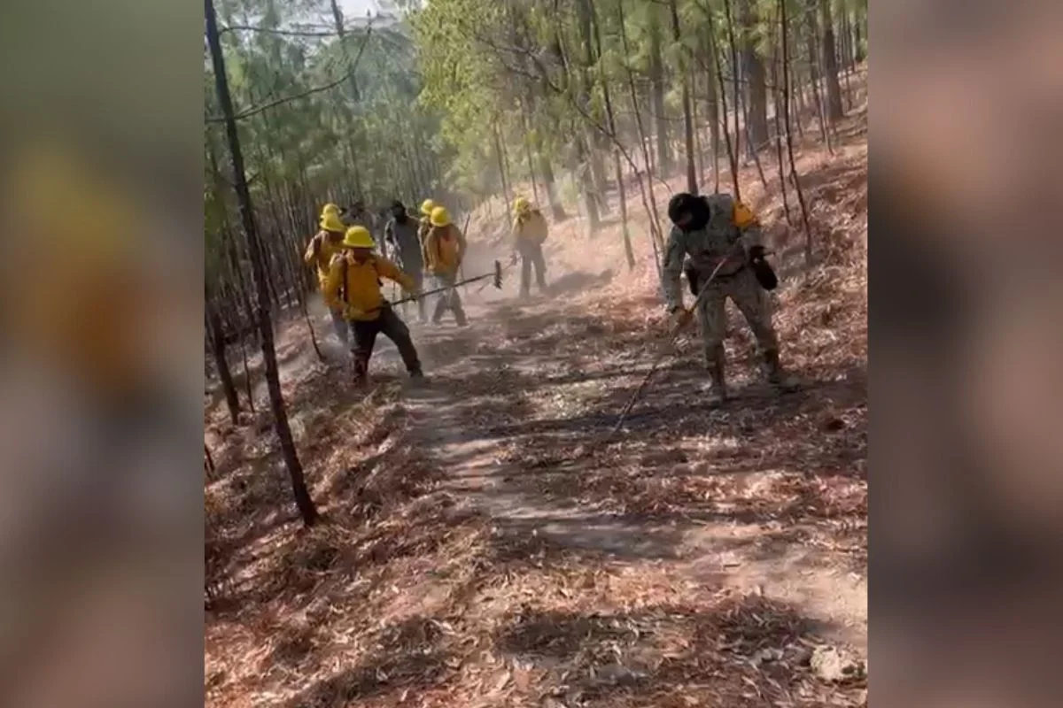 incendio en badiraguato