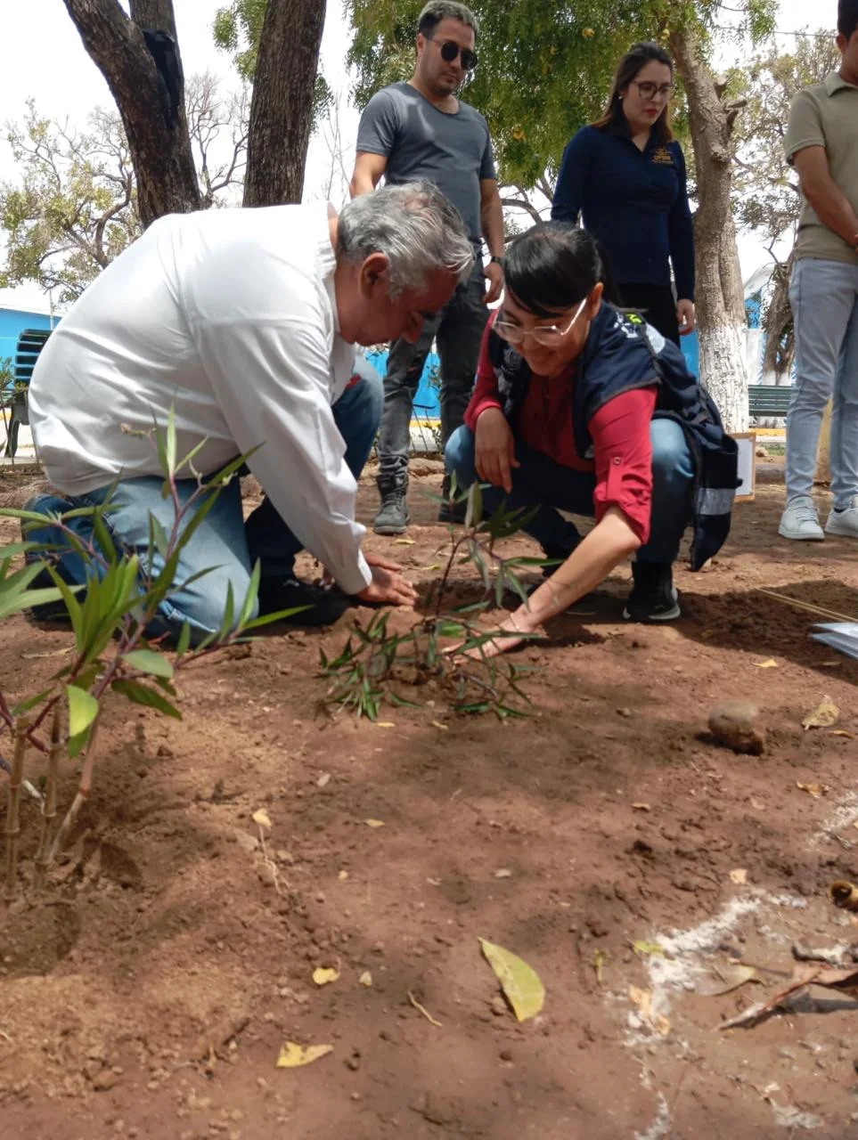 jardin polinizador marmol mazatlan (1)