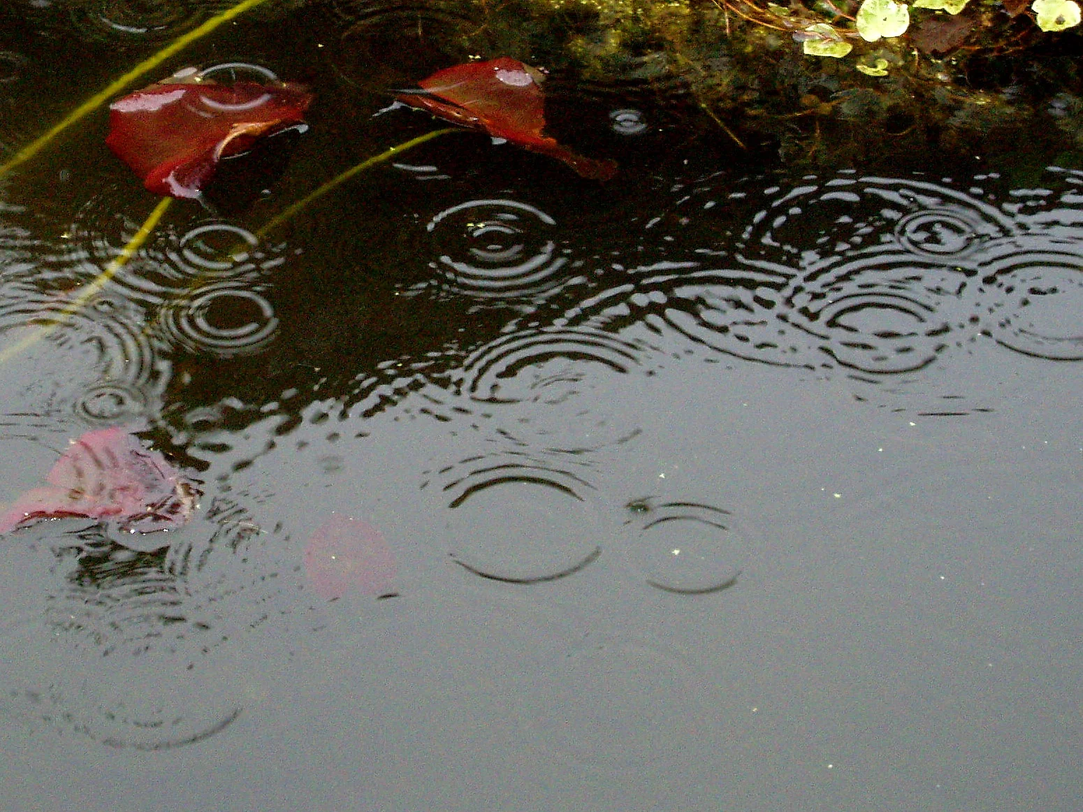 lluvia