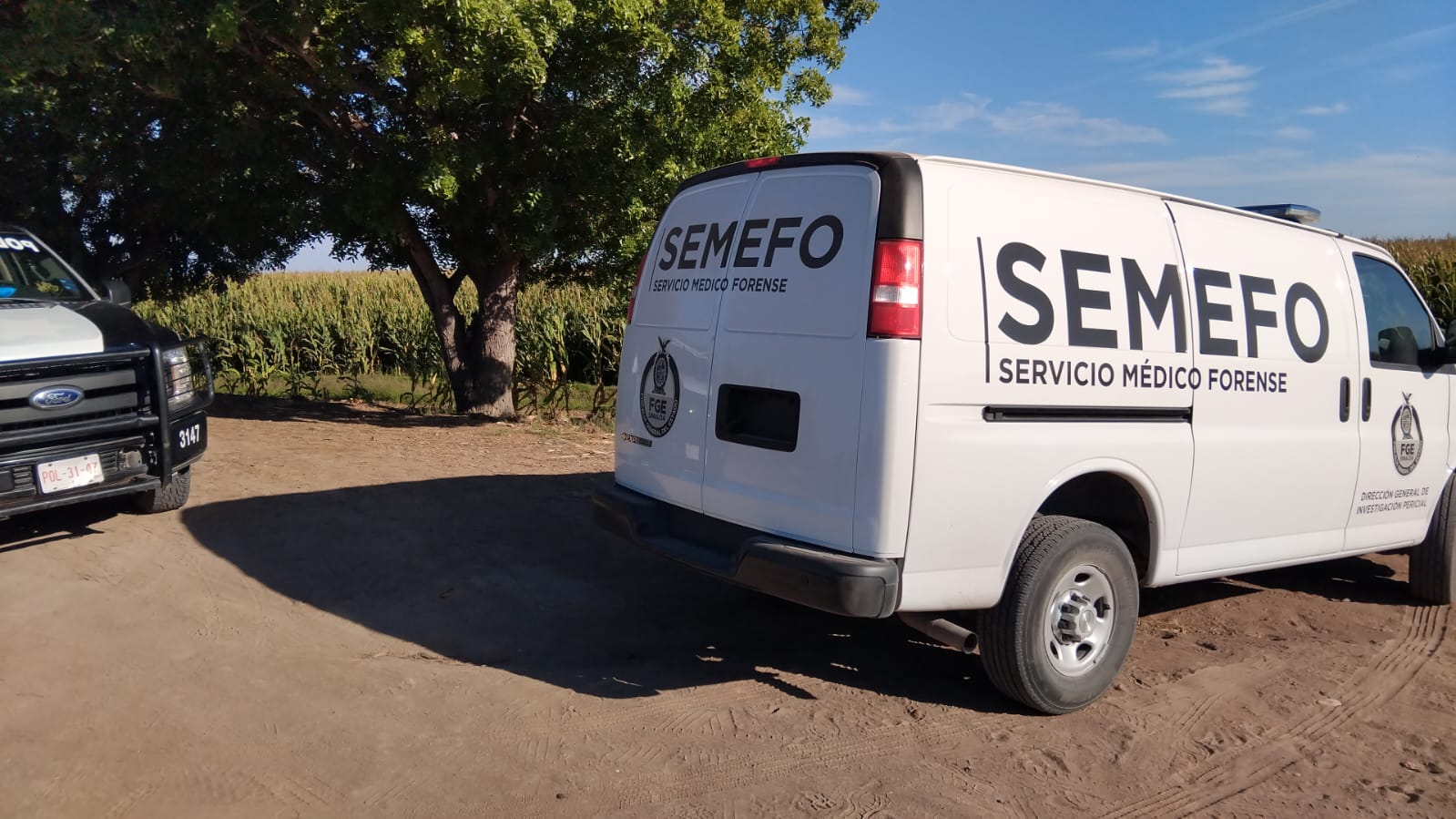 semefo-imala