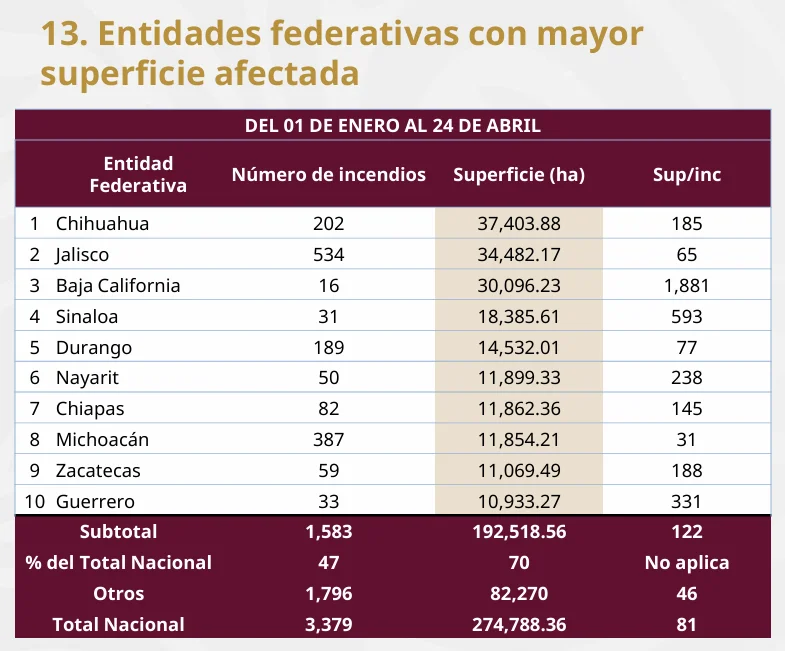 superficie afectada incendios forestales 2025 (1)