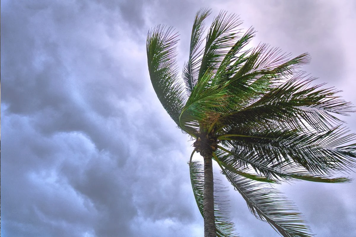 clima-sinaloa-4-de-junio-2025