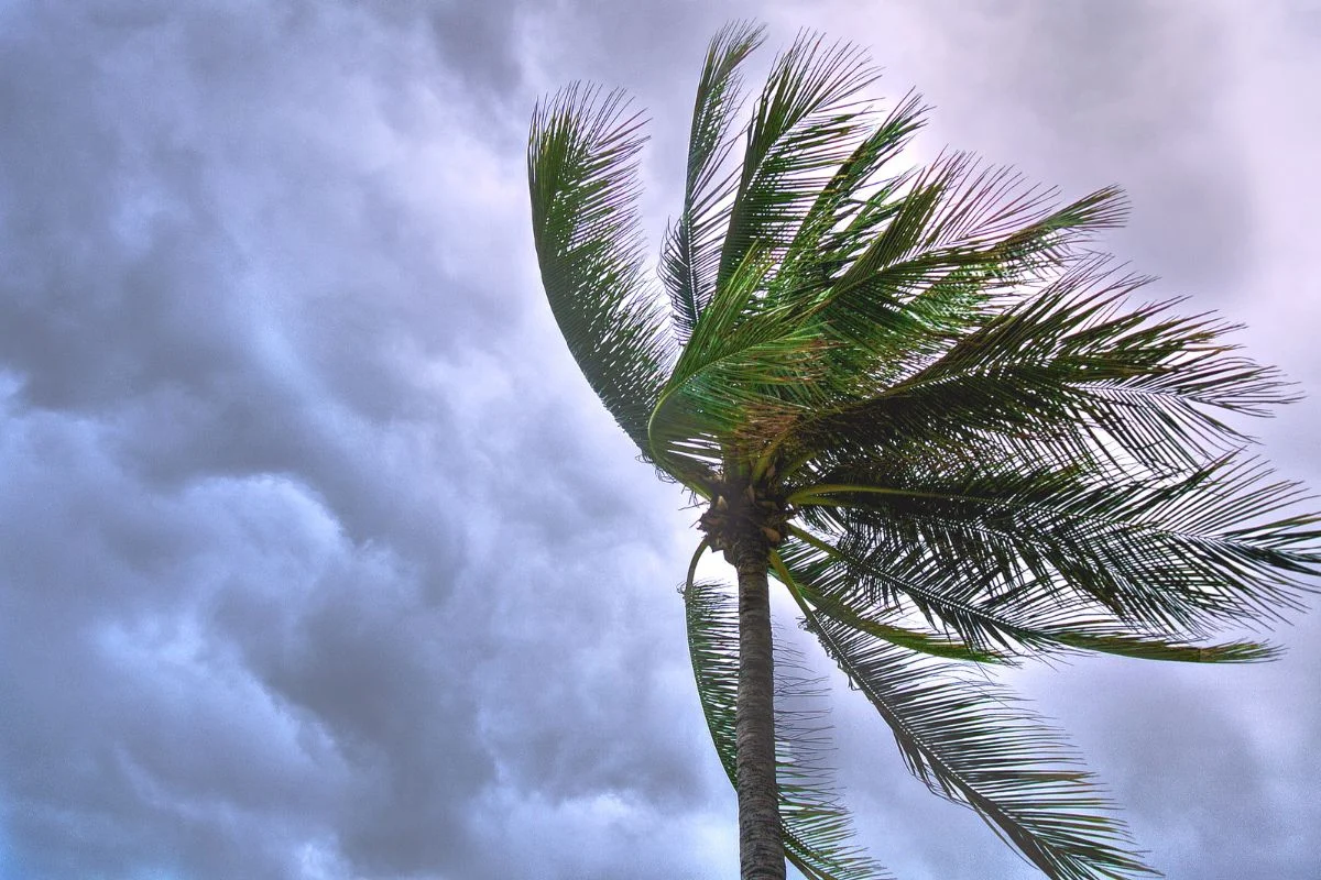 clima-sinaloa-2-de-junio-2025