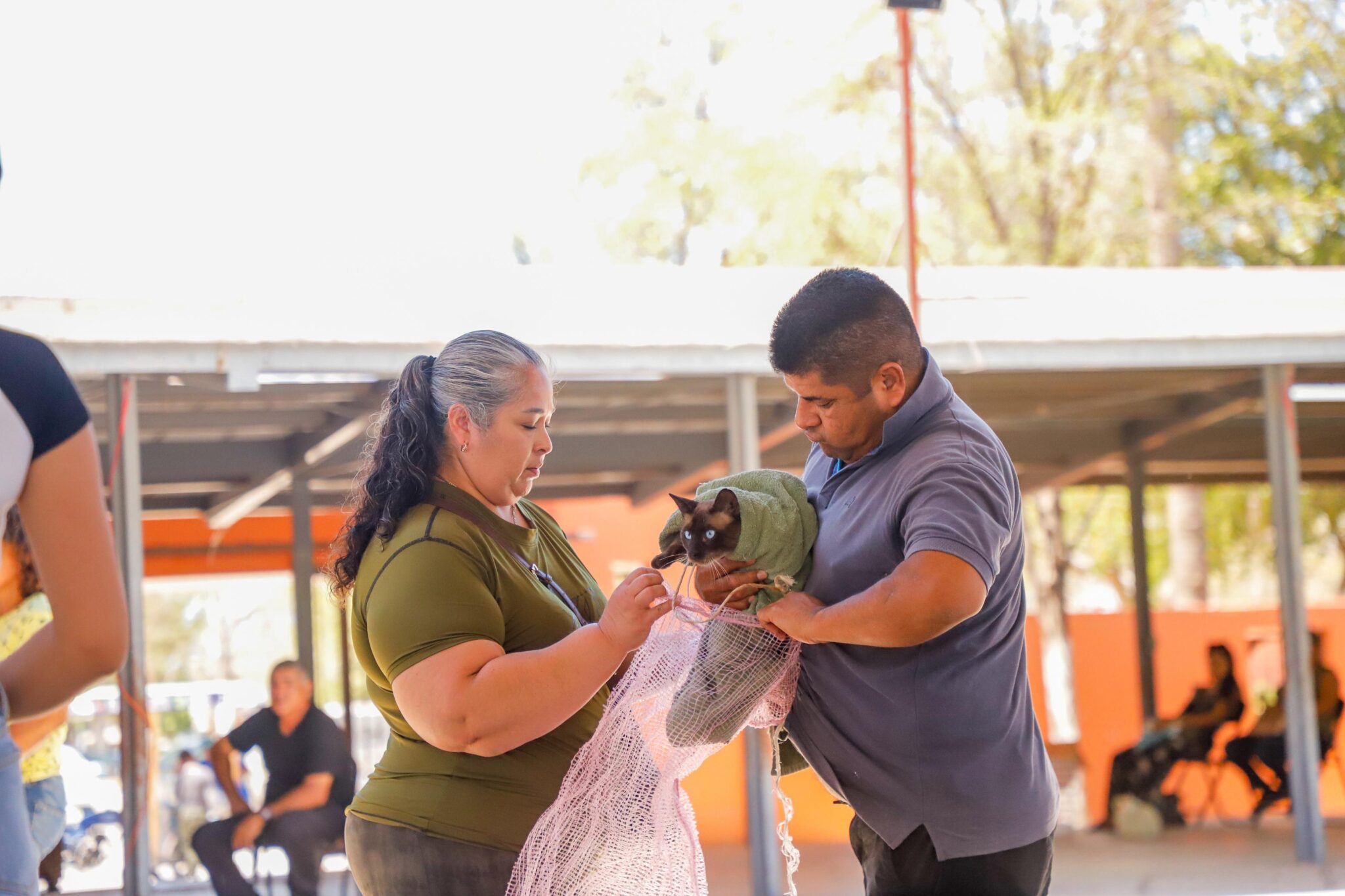 En Mazatlán comienza jormada de esterilización gratuita este fin de semana.