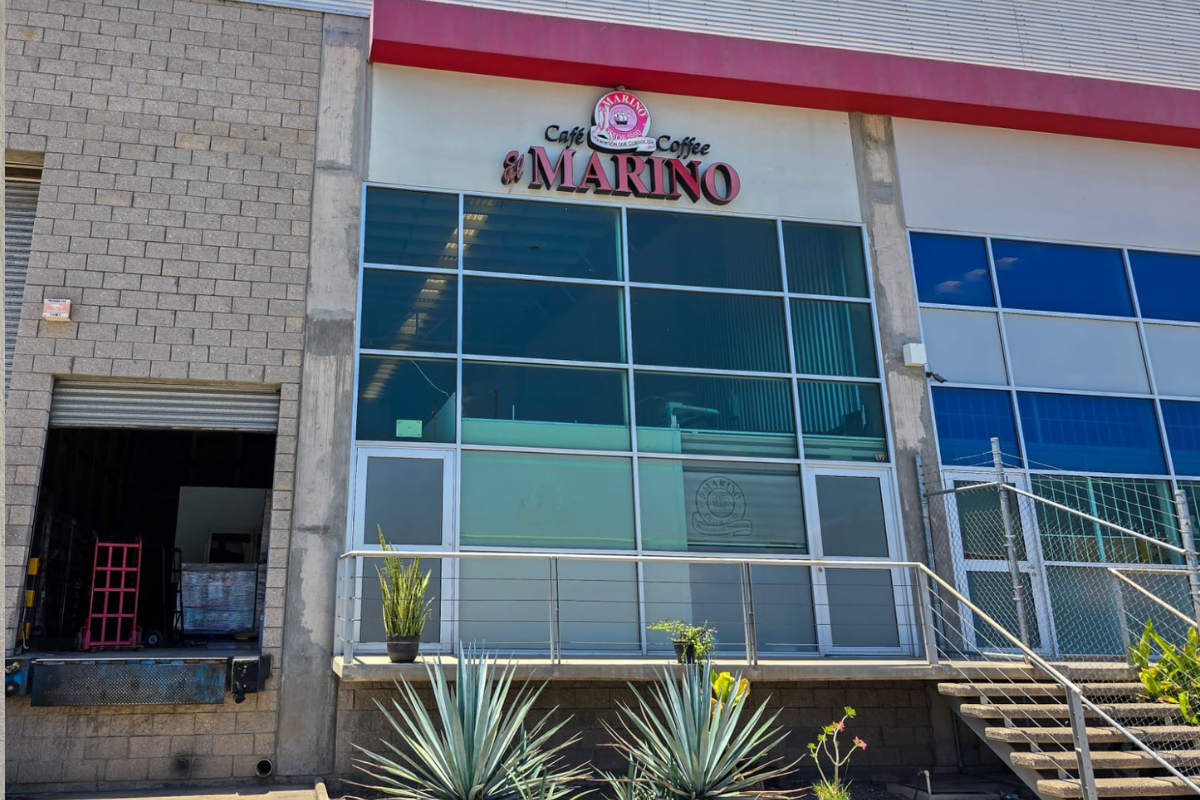 El consumo de café en Culiacán crece 20% anual. Café El Marino lidera el cambio con innovación en sabores, atención postventa y alianzas con negocios locales.