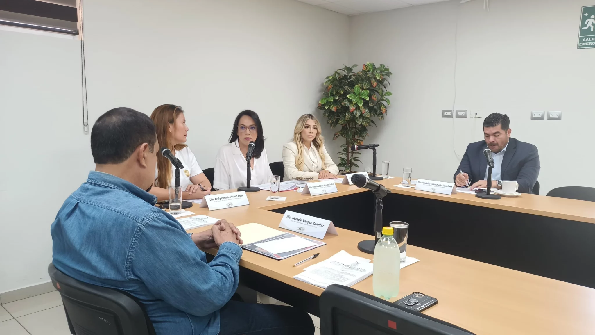 comision asuntos agropecuarios dumping del tomate (2)