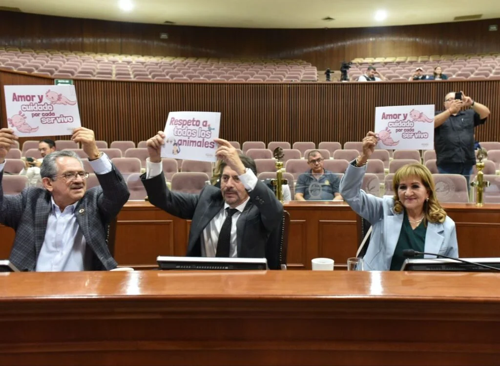 congreso maltrato animal