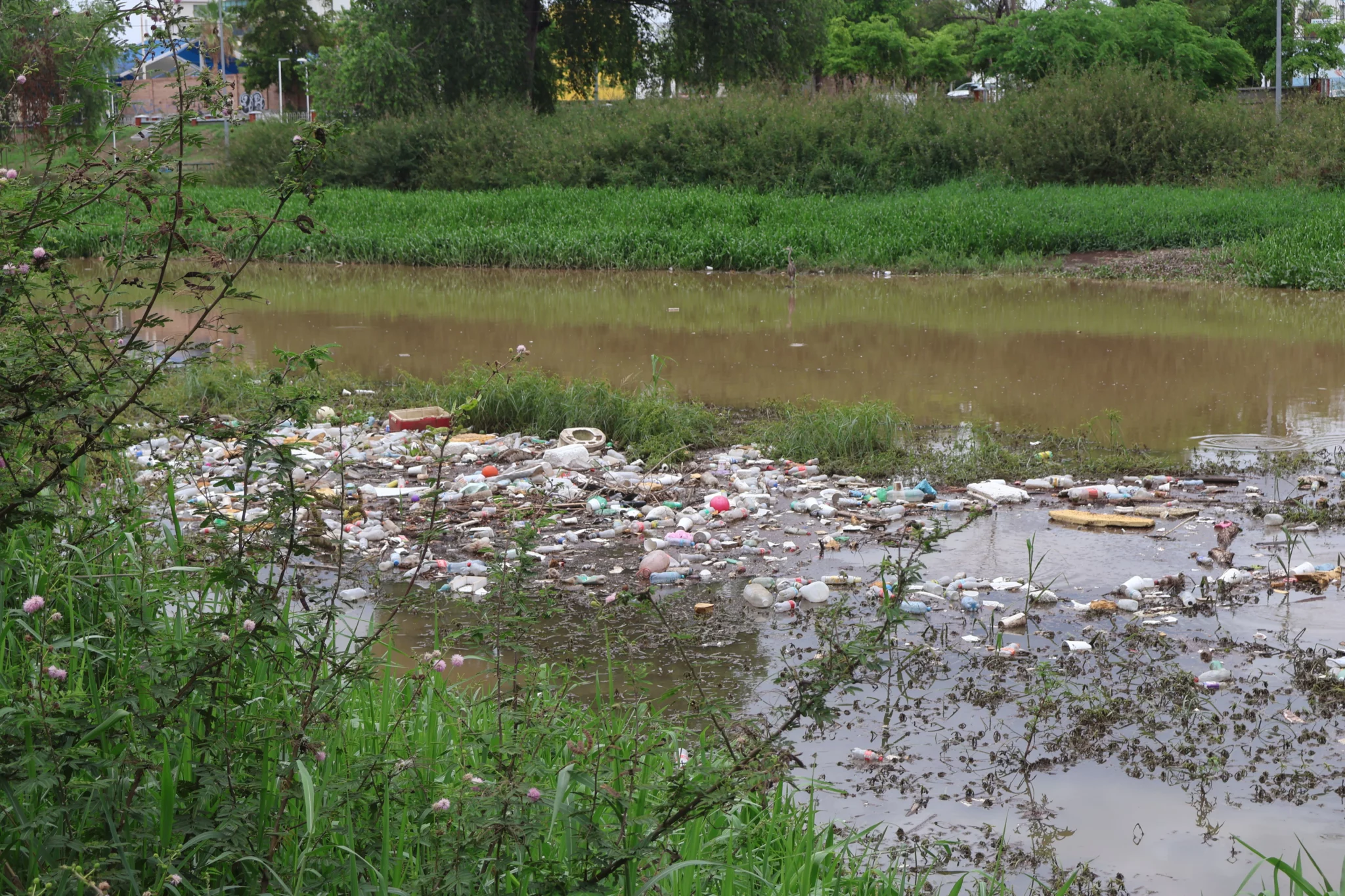 Basura Rio Parque Las Riberas
