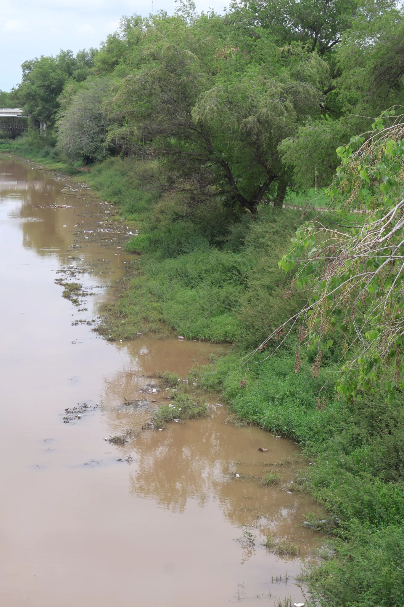 Basura Rio Parque Las Riberas