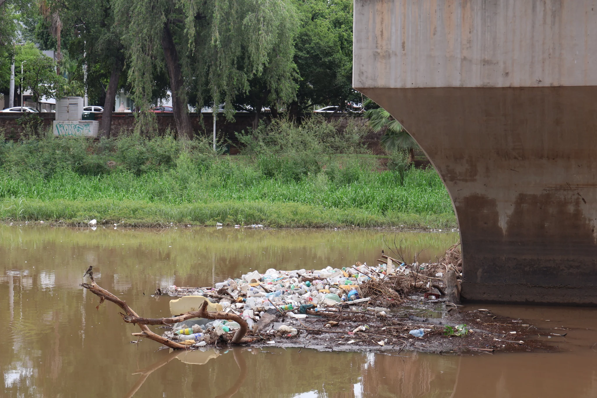 Basura Rio Parque Las Riberas