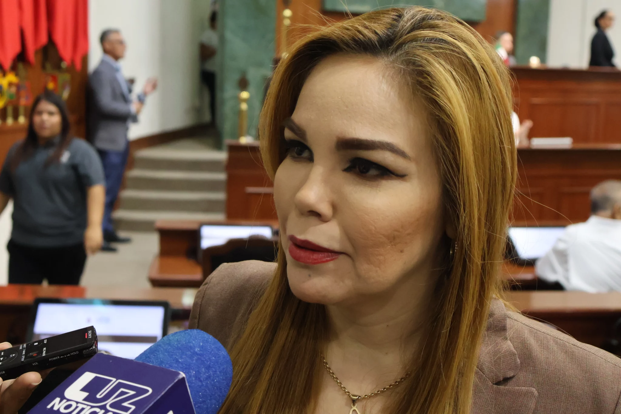 Comision Derechos Humanos Congreso Paola Garate Pedro Lobo (1)
