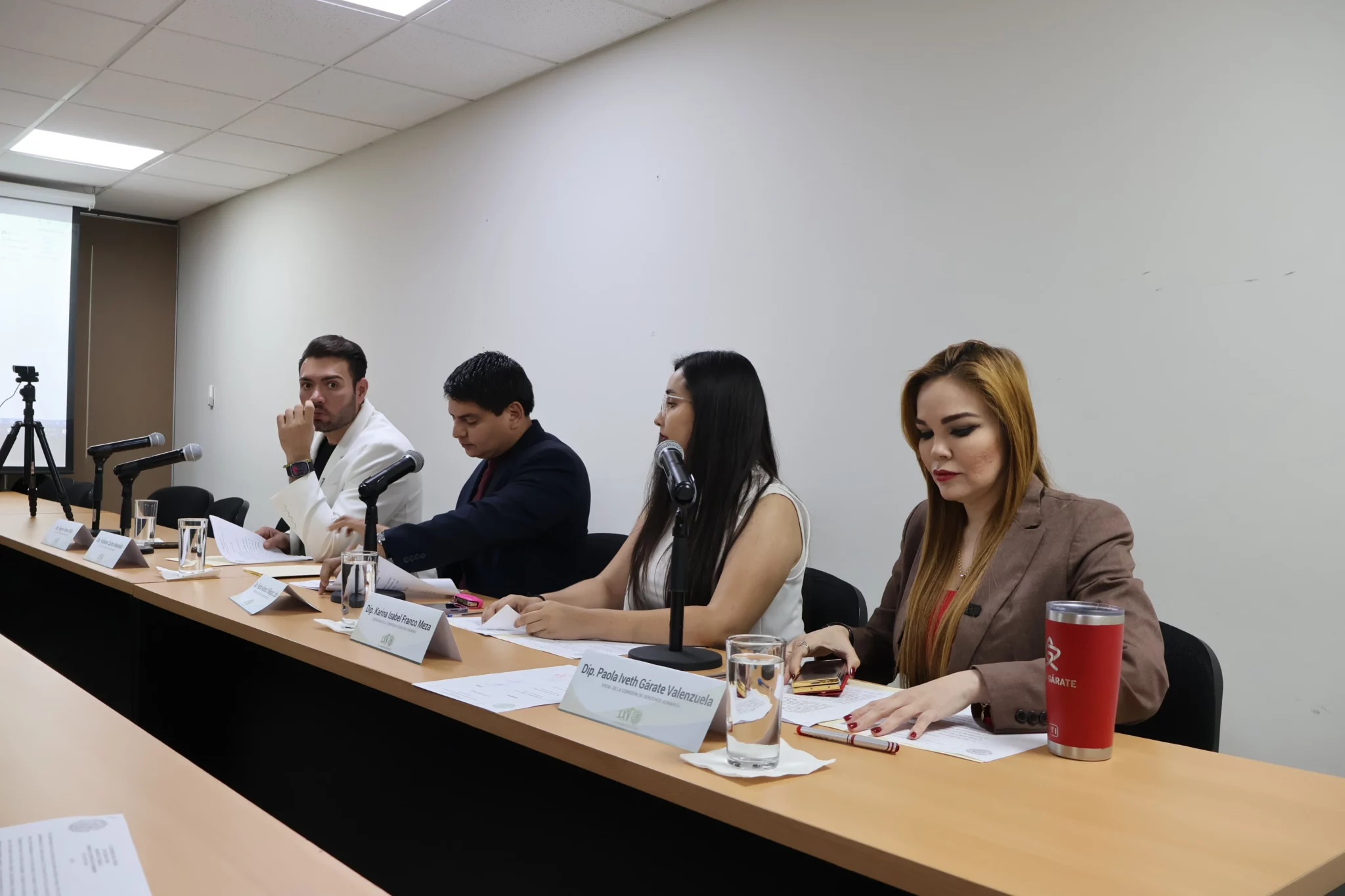 Comision Derechos Humanos Congreso Paola Garate Pedro Lobo (2)