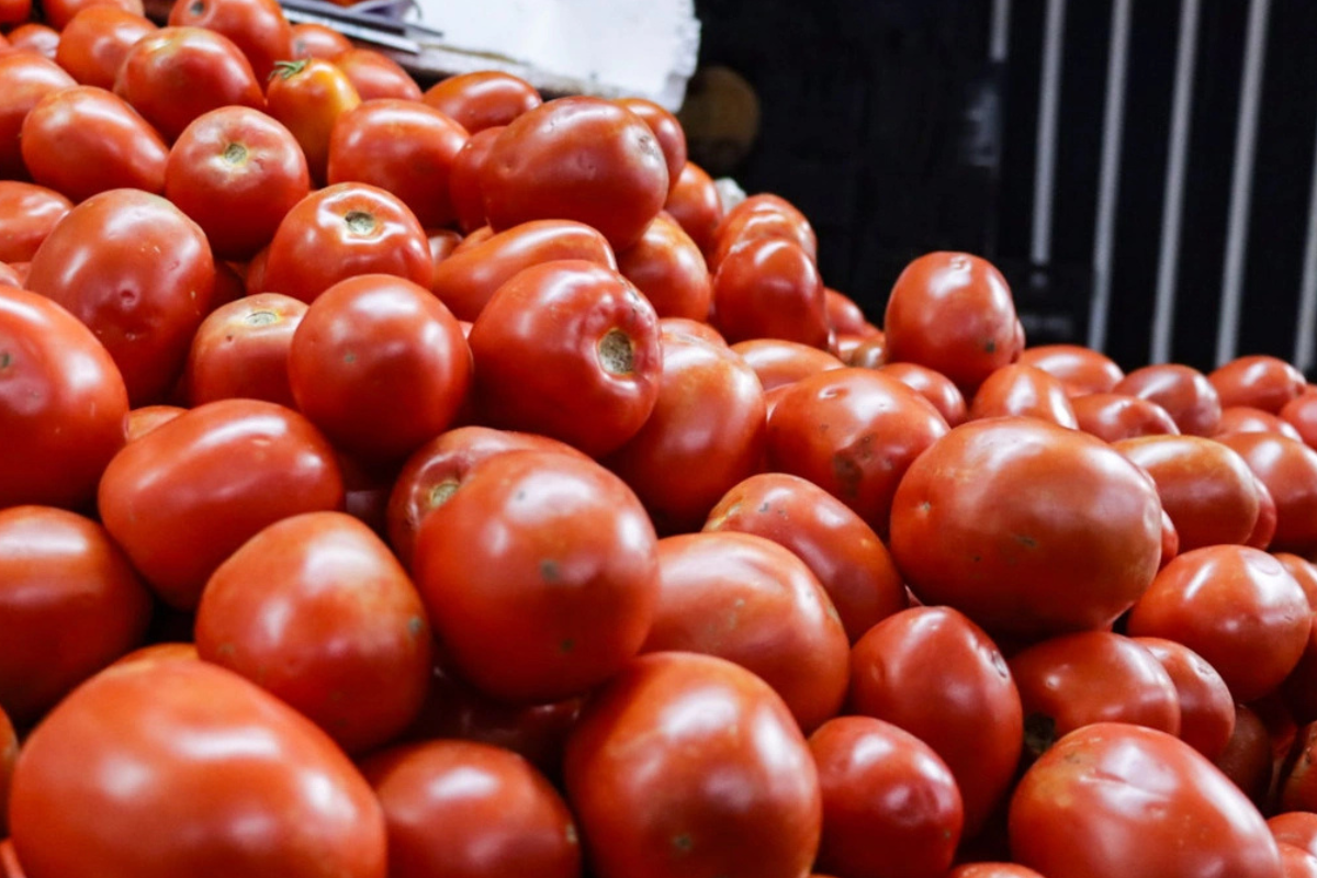 Industria agrícola de EE.UU. y Canadá exige revertir aranceles al tomate mexicano. Las medidas antidumping amenazan el abasto, elevan precios y dañan la integración comercial regional.