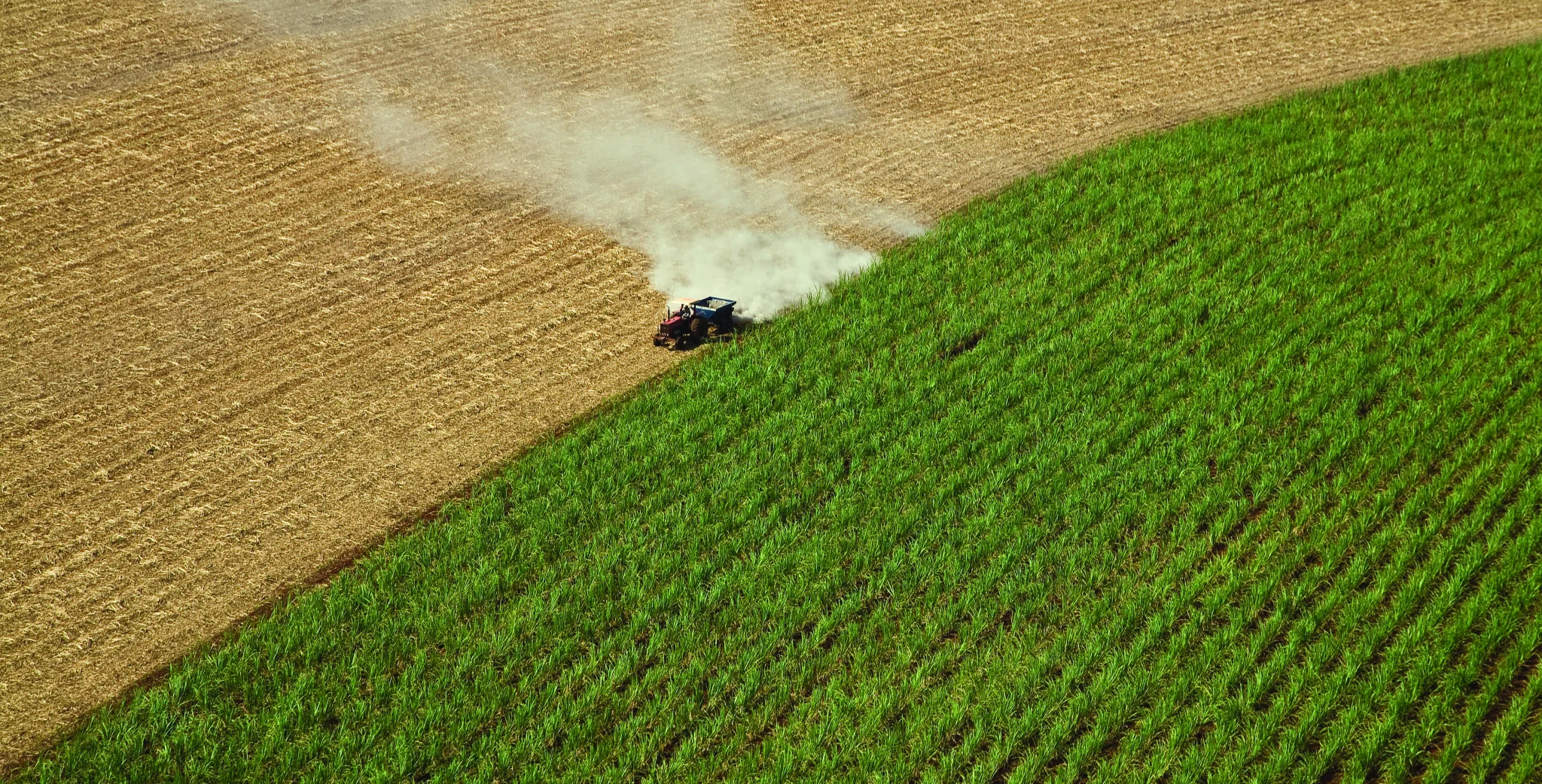 etanol campo agricultura biomasa