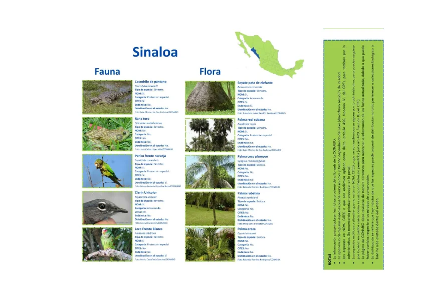 flora y fauna mas traficada en Sinaloa