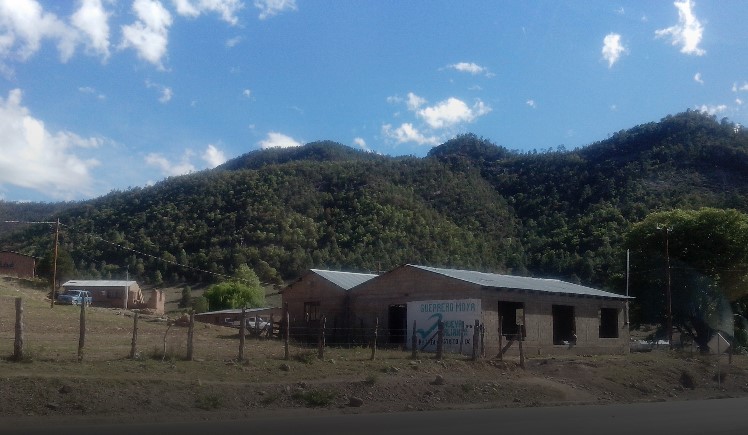 guadalupe-calvo