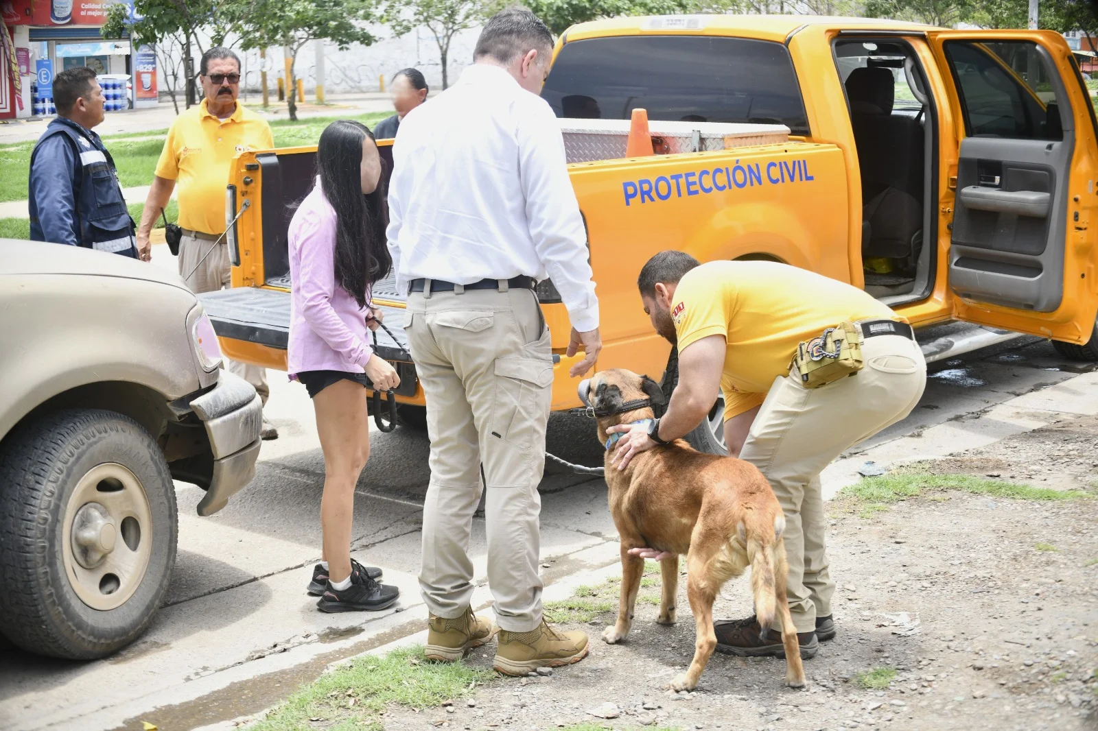 perro maltratado mazatlan