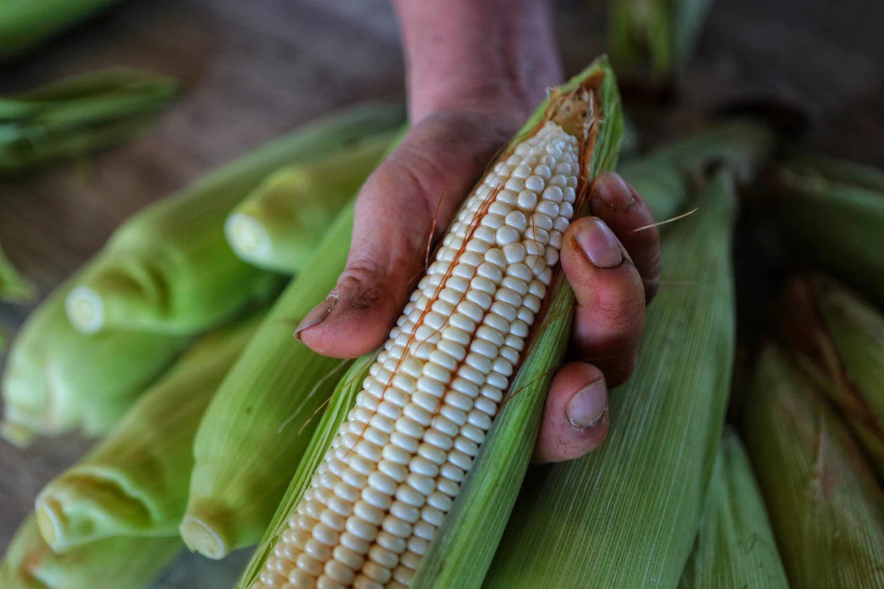 Productores se manifiestan ante el incumplimiento de acuerdos y la falta de programas que garanticen precios justos frente a la competencia internacional.