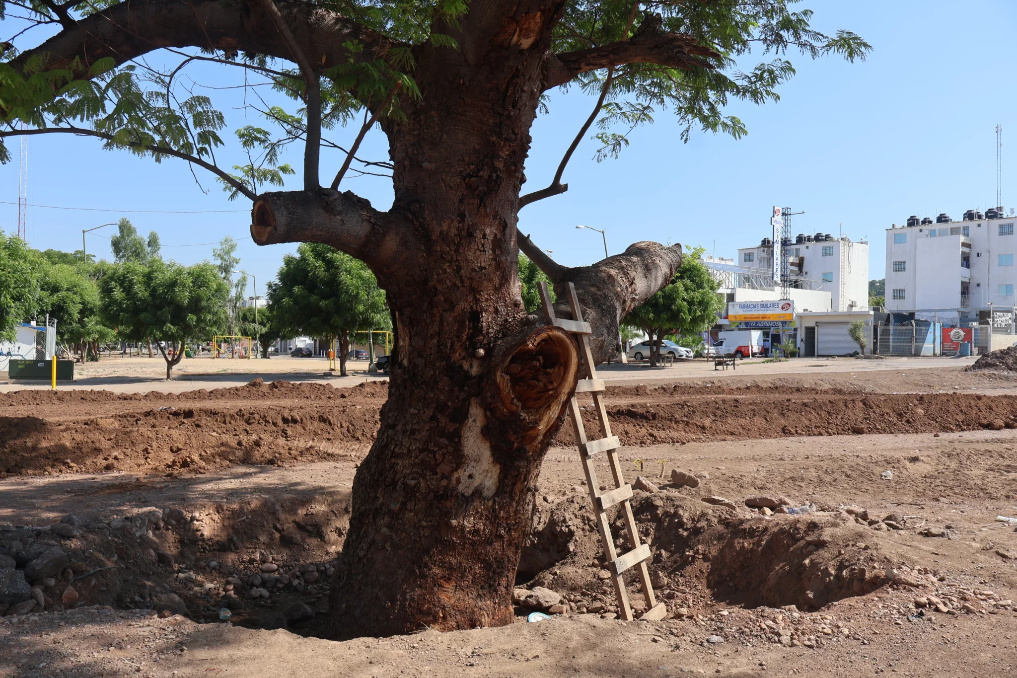 Alturas-Del-Sur-Costerita-Agricultores