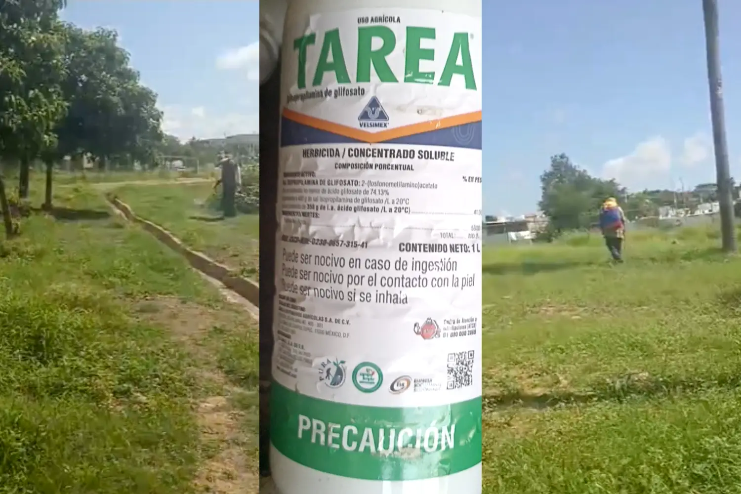 glifosato parques y jardines ayuntamiento de culiacan