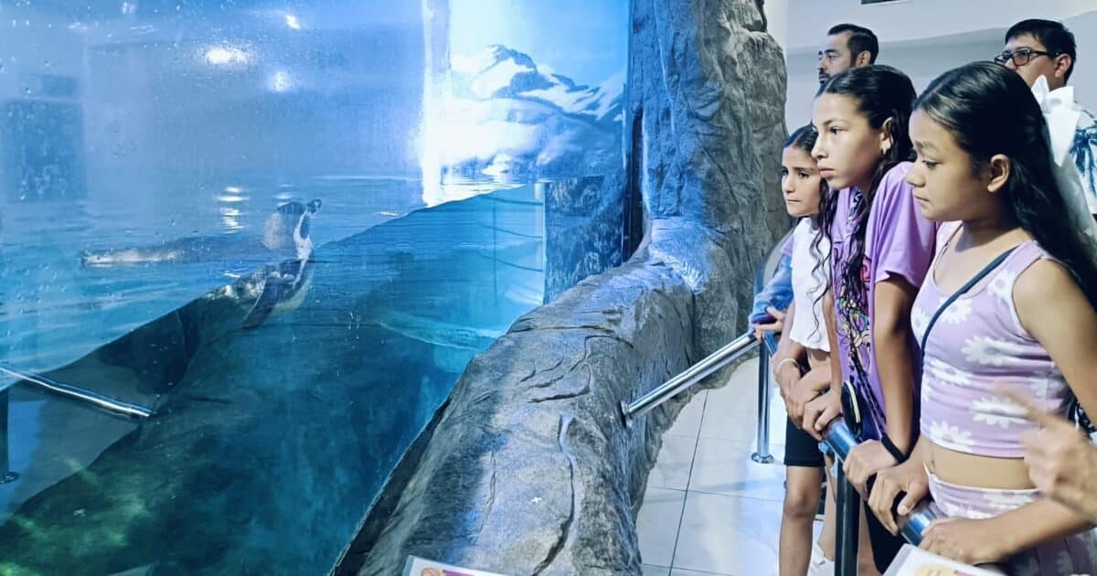 gran-acuario-reponsabilidad-social-1200x630