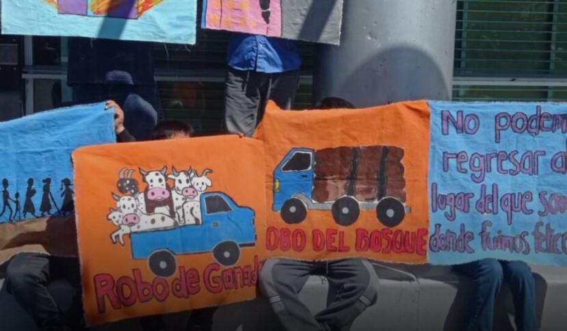 rachali-protesta