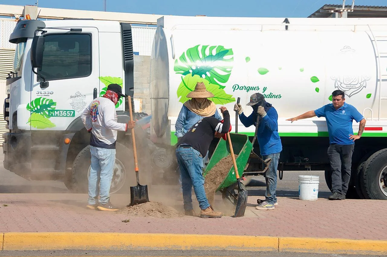 reforestacion con neem mazatlan I