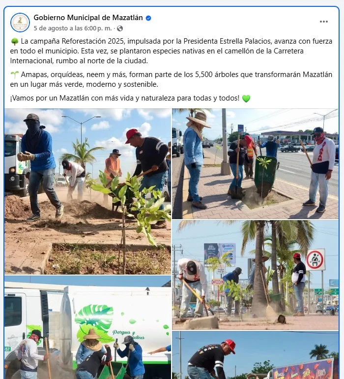 reforestacion con neem mazatlan I