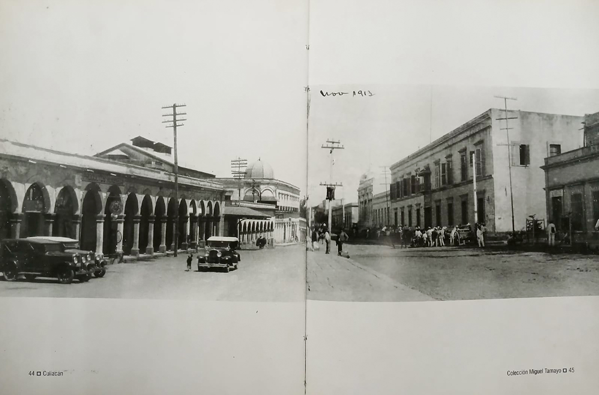 tamayo-3