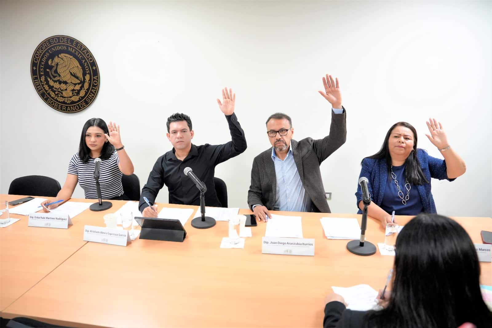 congreso-iniciativas (2)