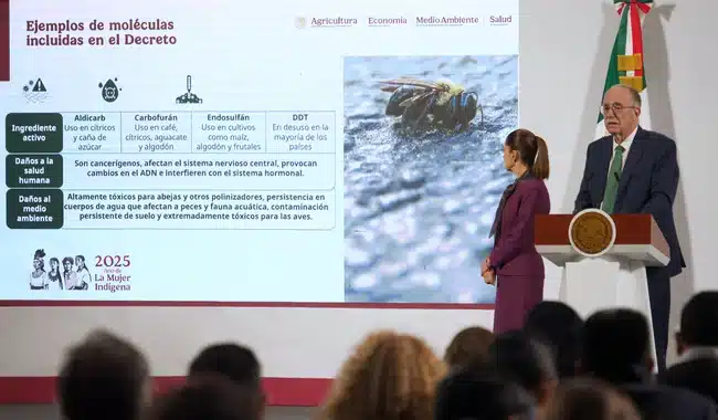post_250903_JBS_MAN_ANERA_PLAGUICIDAS-3