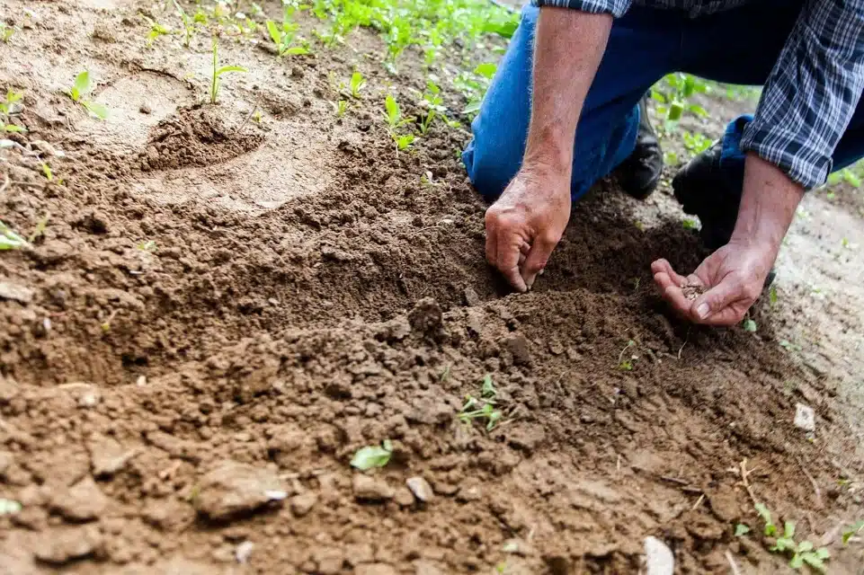 Rescatan especialistas la importancia de la agricultura responsable para un futuro sostenible – Revista Espejo