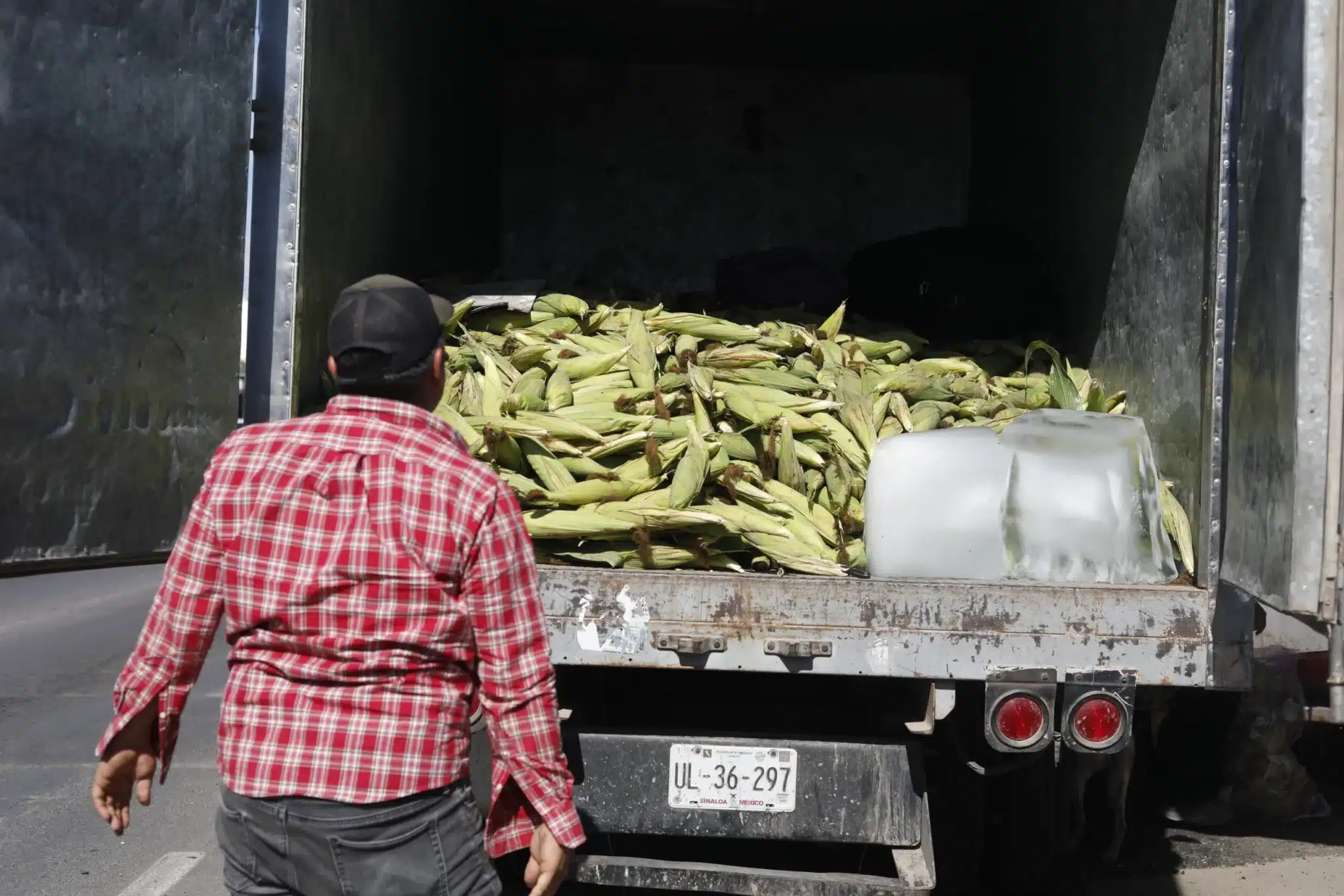 Más de cien productores de maíz en Sinaloa siguen sin recibir los 750 pesos por tonelada prometidos por el gobierno federal desde 2024.