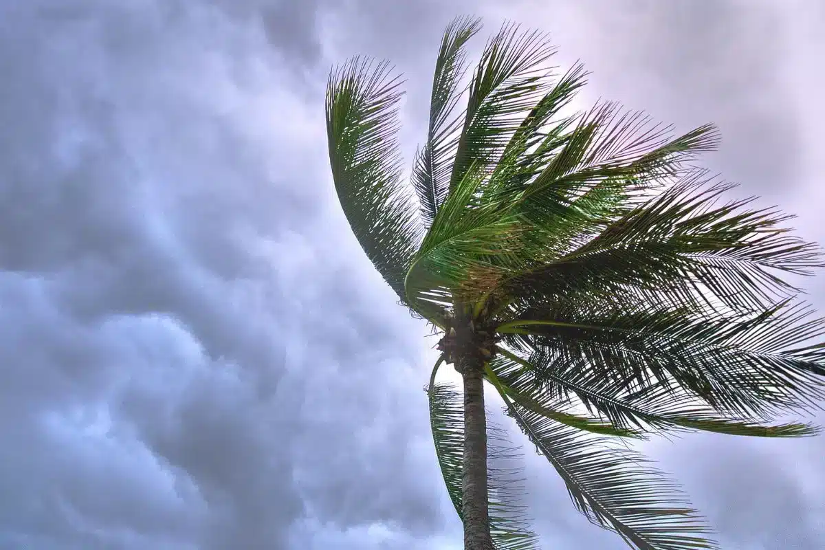 Tormenta tropical Raymond genera condiciones de lluvias muy fuertes, vientos y posible formación de trombas marinas frente a las costas de Sinaloa, según reporte del SMN.