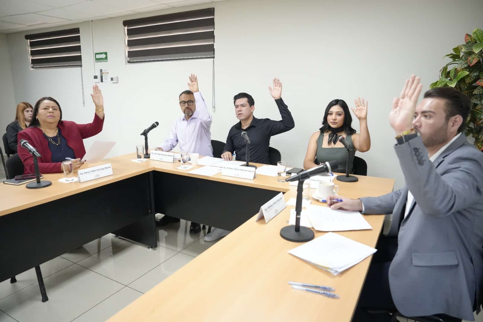 comision-congreso