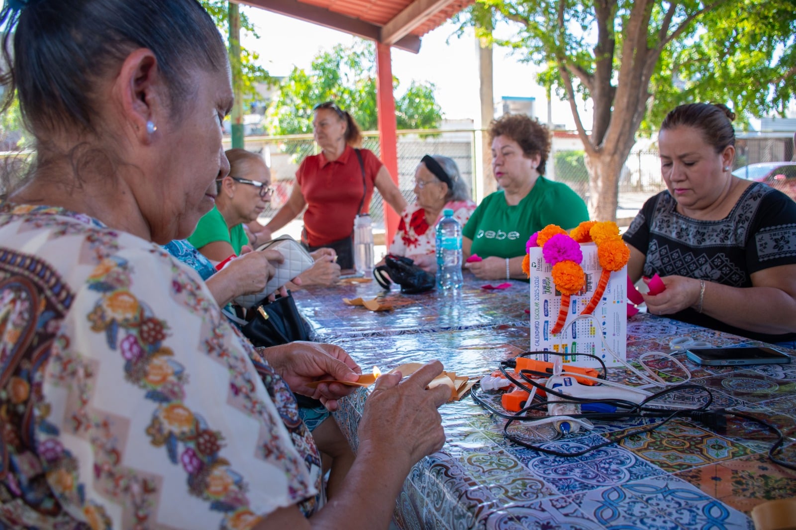participacion-cln