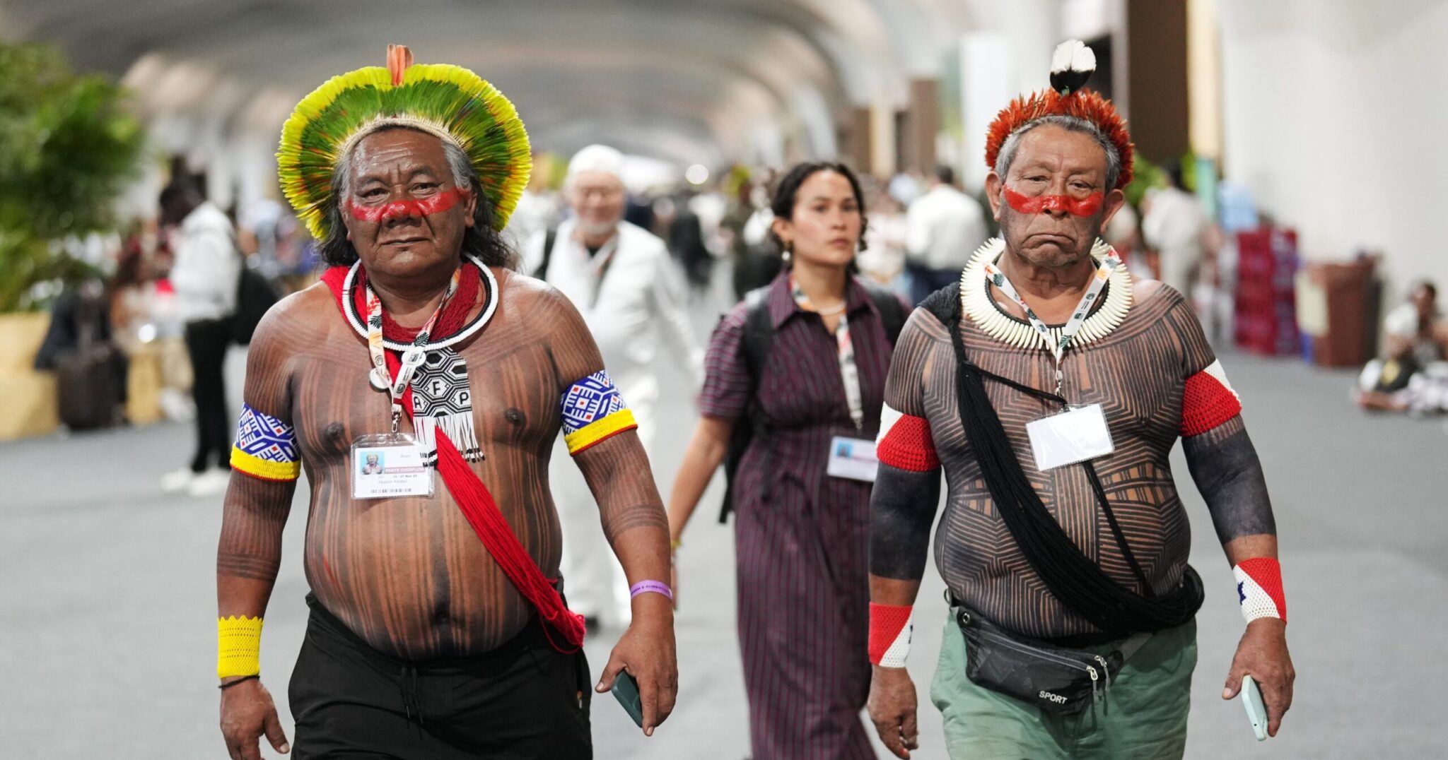 AP253155151970461-scaled