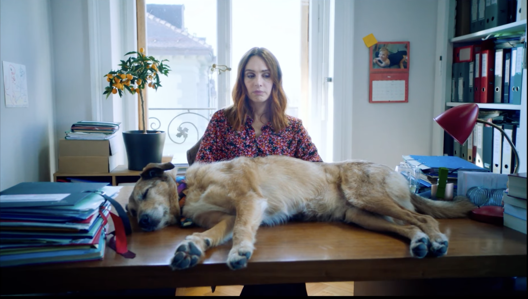 Captura-de-pantalla-2025-11-01-a-las-8.01.51 p.m-2048x1159