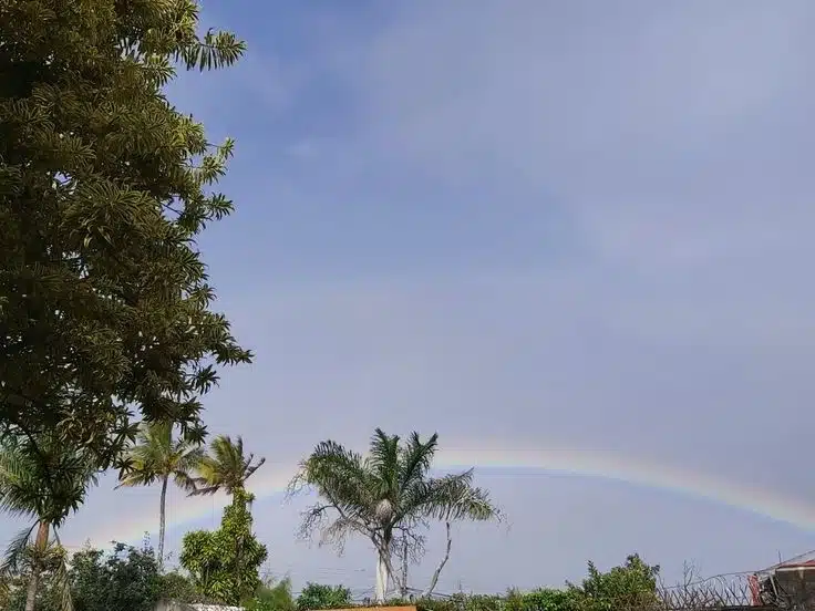 clima-los-mochis-10-noviembre-2025