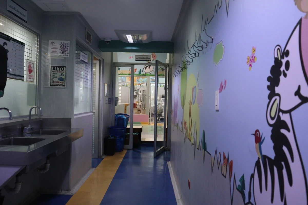 Aguirre Flores llamó a reforzar el control prenatal.