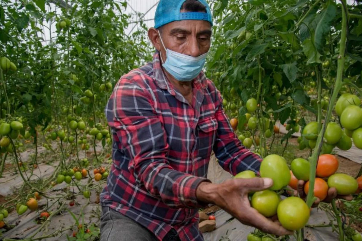 La AARC rechaza el Presupuesto 2026 por abandonar al campo mexicano y denuncia falta de transparencia y visión productiva en los recursos agrícolas.