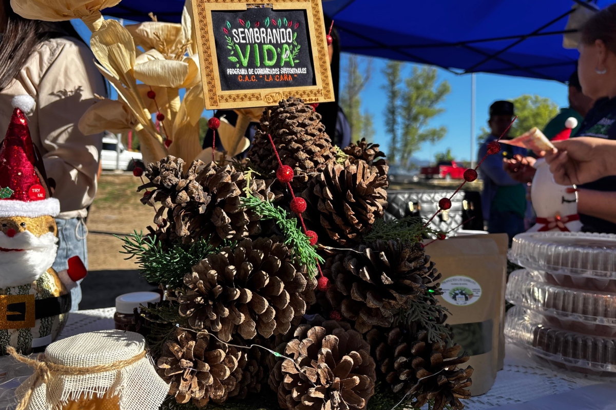 sembrando-vida-cac-la-caña