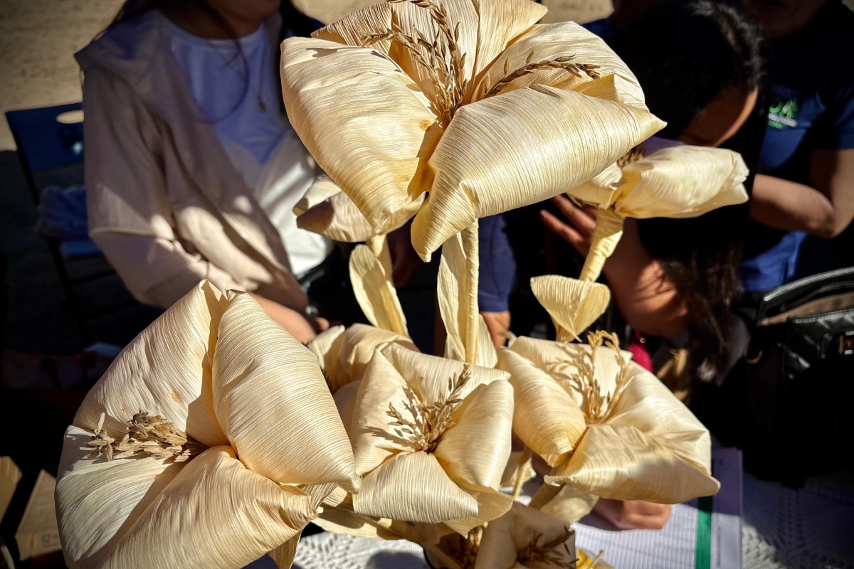 sembrado-vida-badiraguato-cac-la-caña