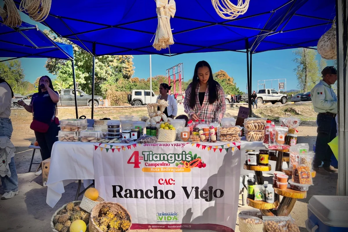 papache-badiraguato-fruto-silvestre-cac-sembrado-vida