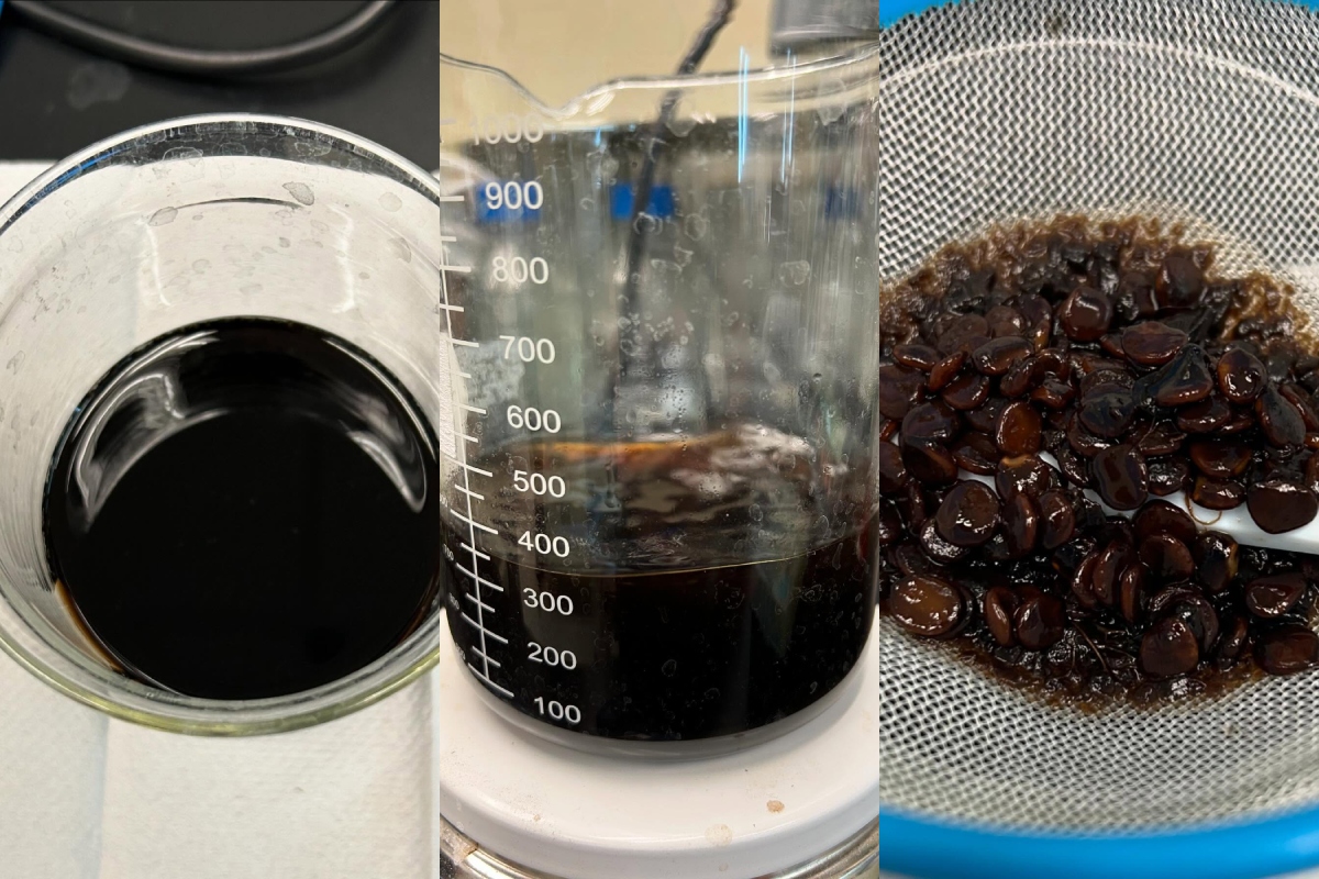 papache-fruto-silvestre-badiraguato