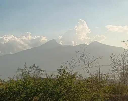 zAPOPATLN-scaled-e1772423338573