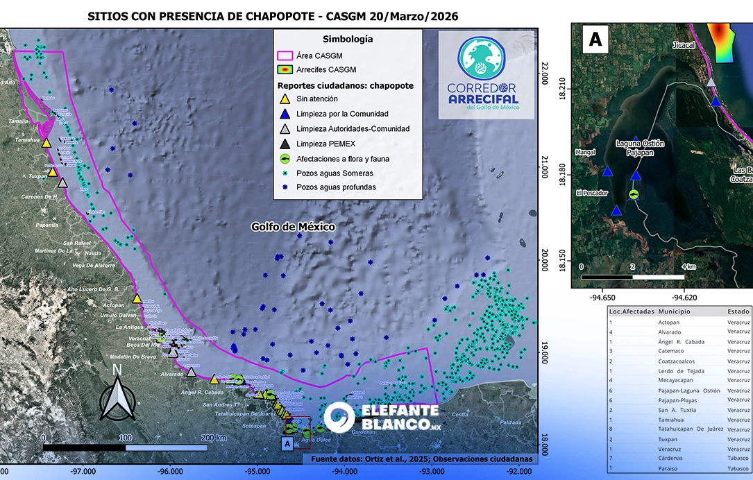 Sitios afectados por el derrame petrolero y su estado de limpieza, así como flora y fauna afectada. Crédito: Red Corredor Arrecifal del Golfo de México, 20 de marzo de 2026.