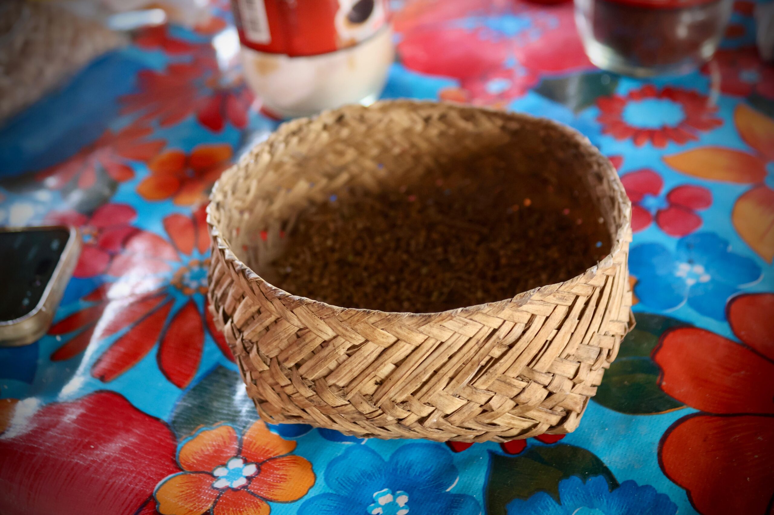 ware-tarámari-sinaloa-loreta-choix