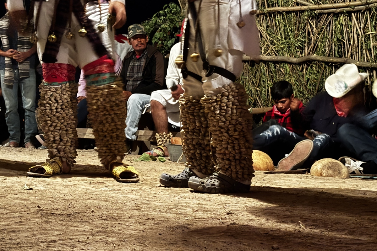 ténabaris-danza-venado-sinaloa-cultura