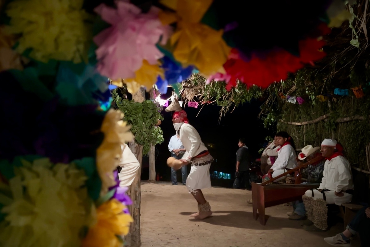 danza-venado-mayo-yoreme-tesila-cultura